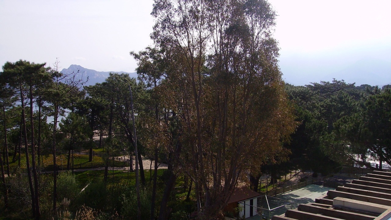 Photo of Outdoor in Calvi