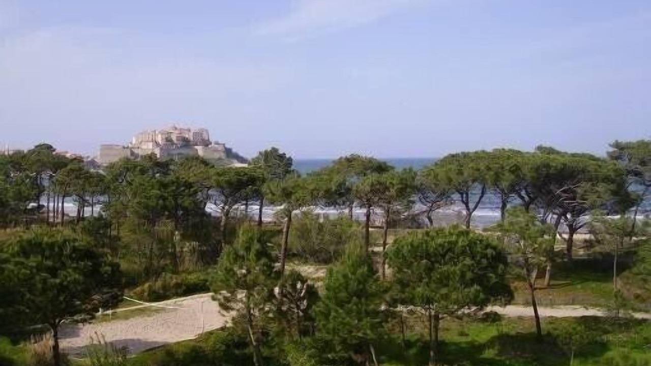 Photo of Outdoor in Calvi
