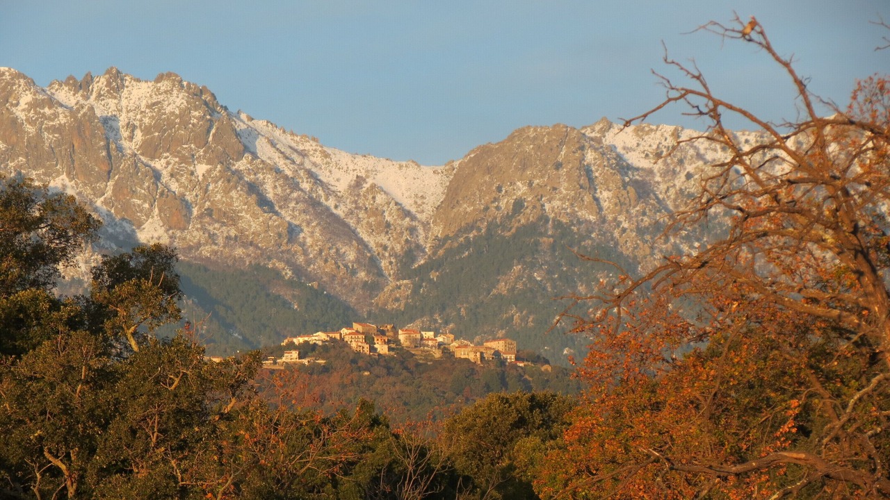 Photo of Outdoor in Morta