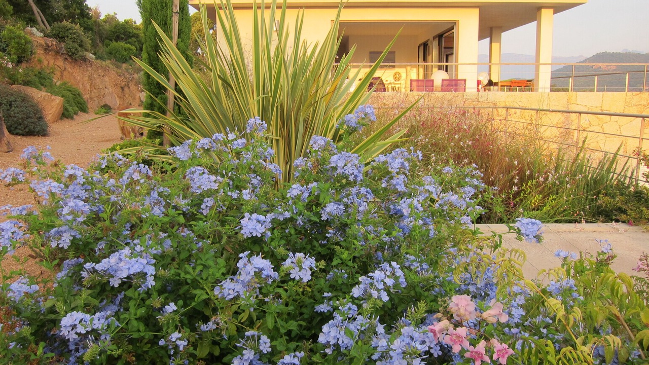 Photo of Outdoor in Cirendinu