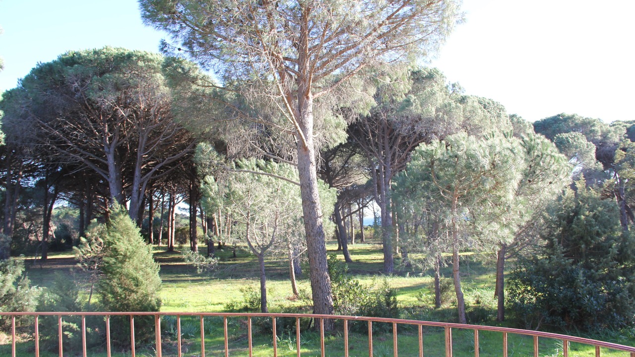 Photo of Outdoor in Hameau de Palombaggia