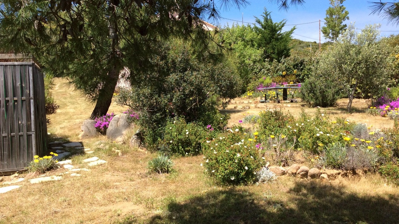 Photo of Outdoor in Coti-Chiavari