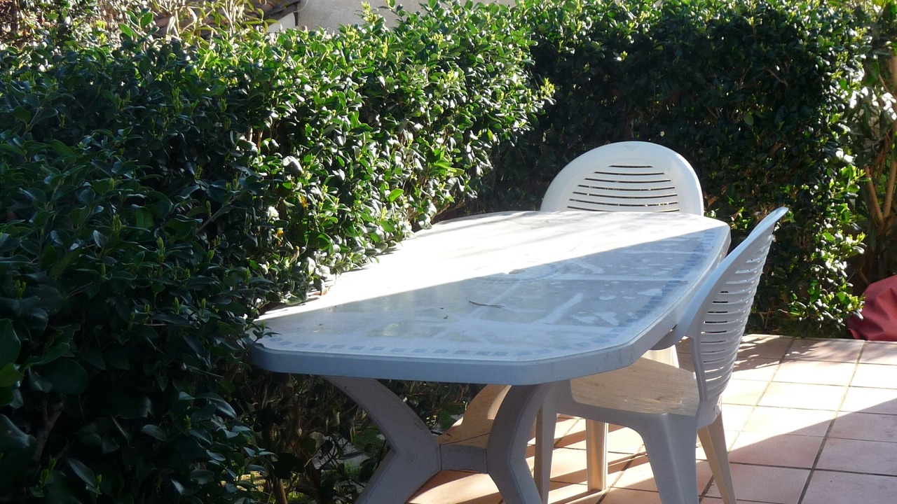 Photo of Outdoor in Verghia