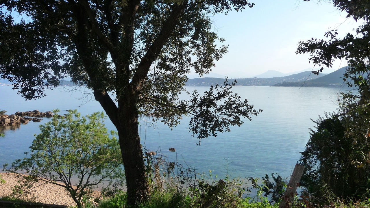 Photo of Others in Verghia