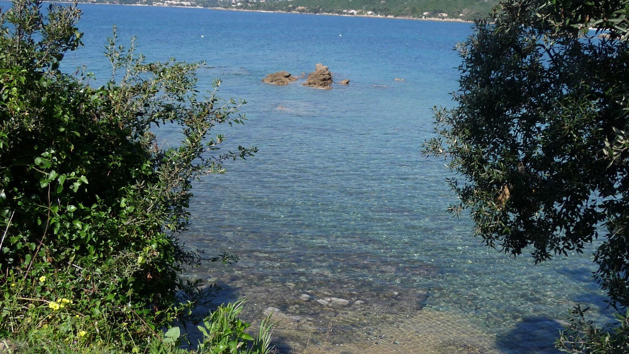 Photo of Others in Verghia