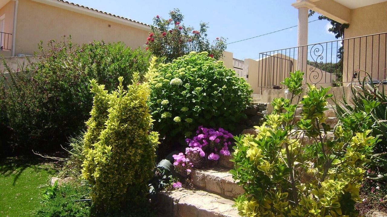 Photo of Outdoor in Pinarellu