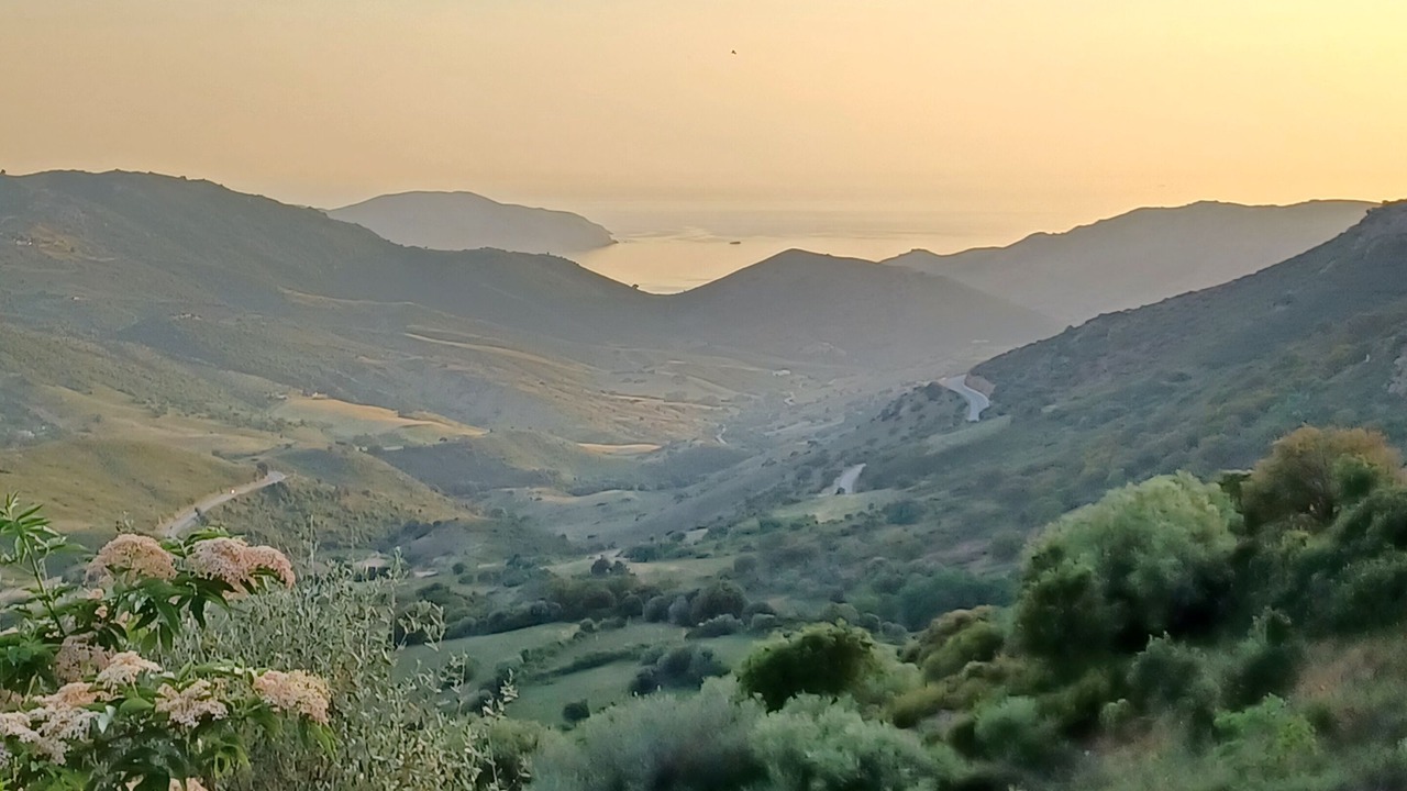 Photo of Others in Appietto