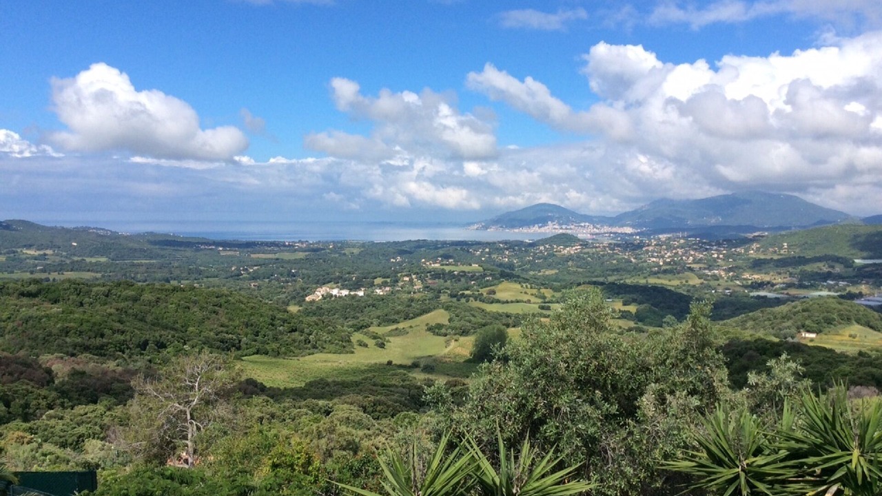 Photo of Others in Eccica-Suarella