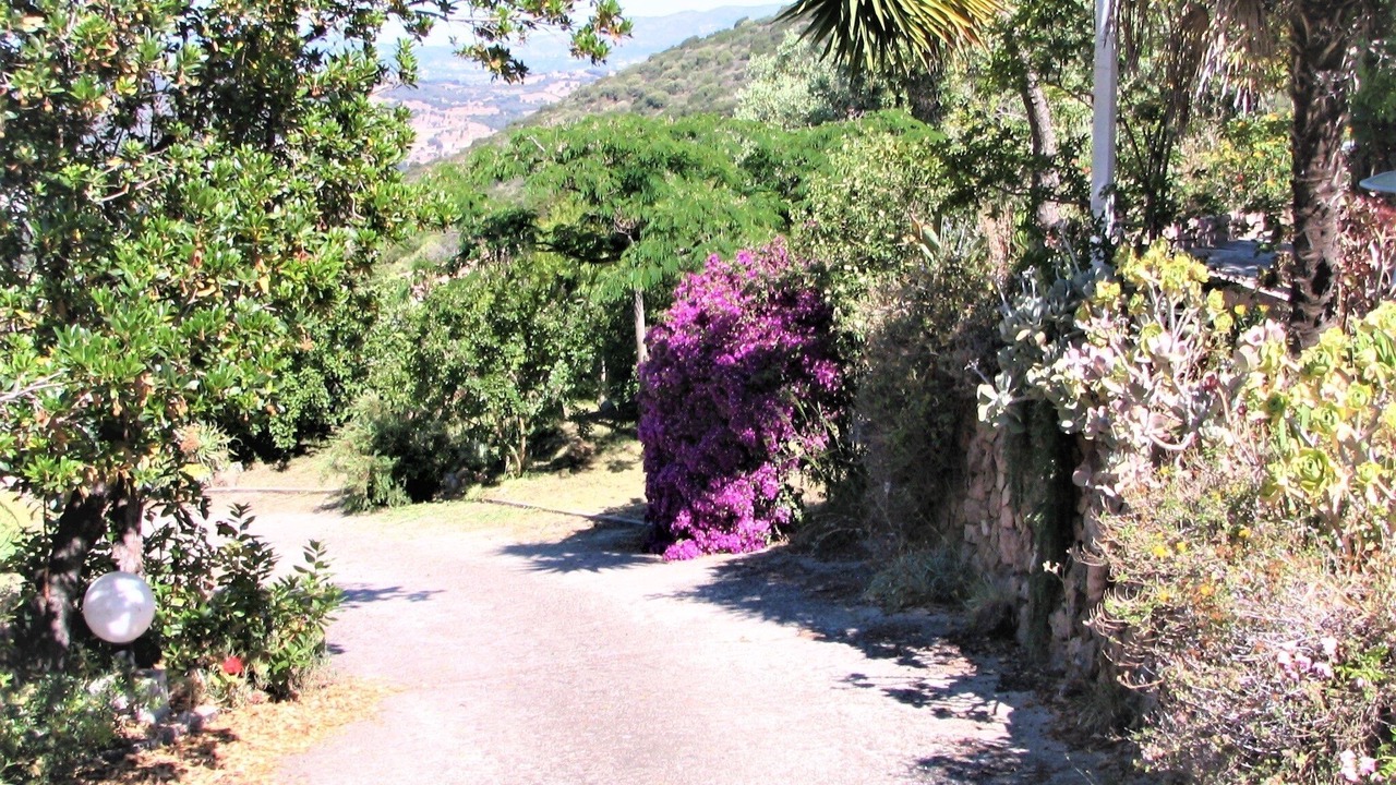 Photo of Outdoor in Eccica-Suarella