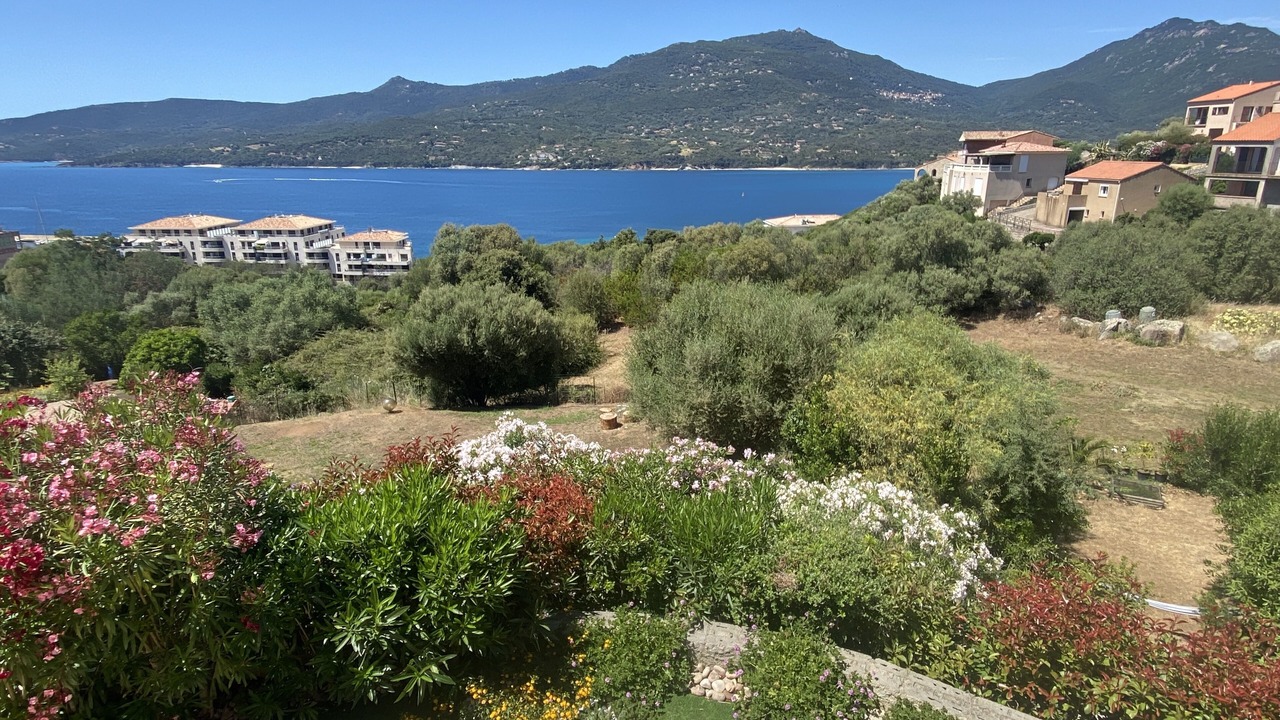 Photo of Outdoor in Propriano