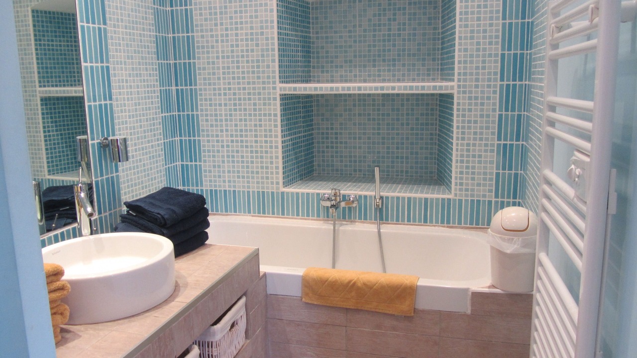 Photo of Bathroom in Aregno