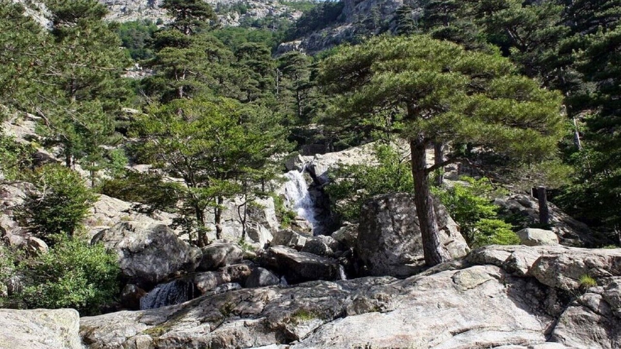 Photo of Others in Eccica-Suarella