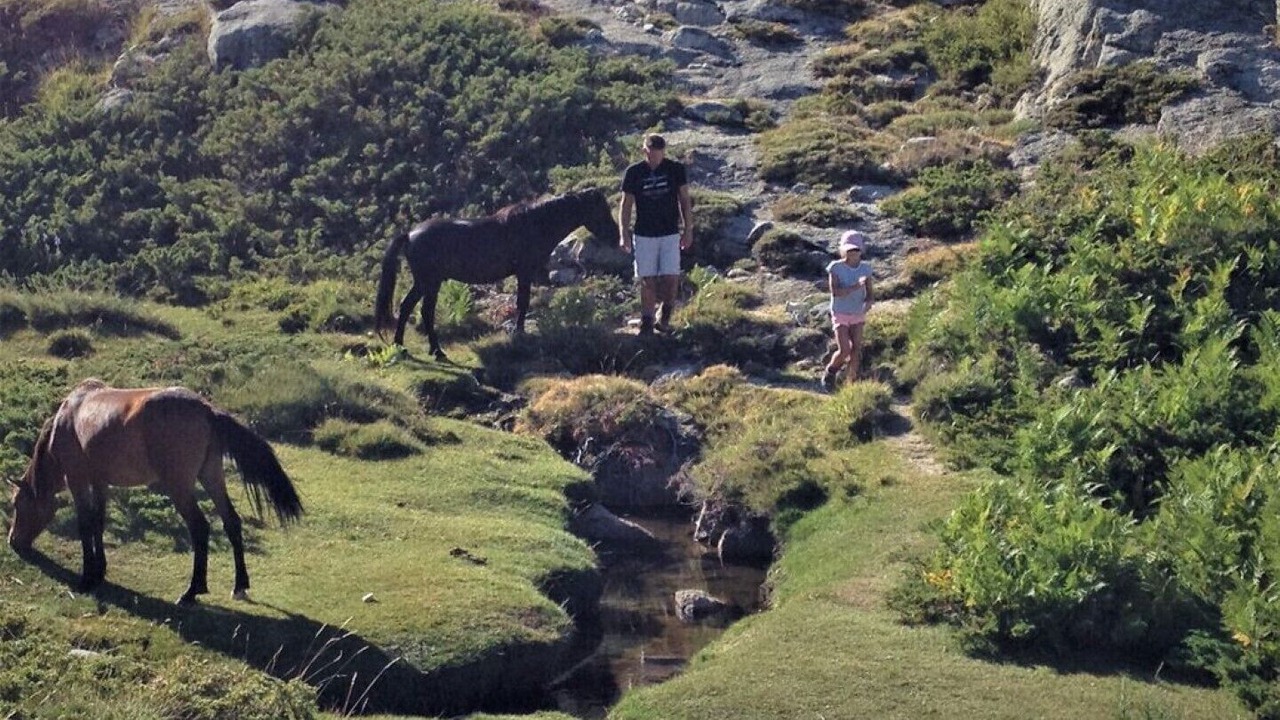 Photo of Outdoor in Eccica-Suarella