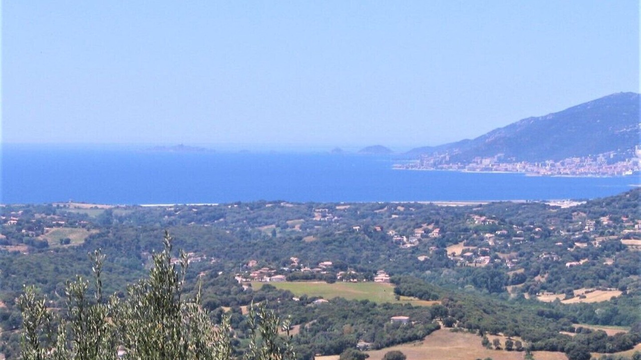 Photo of Outdoor in Eccica-Suarella