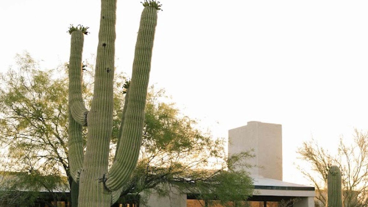 Photo of Outdoor in Tucson