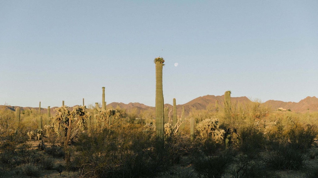 Photo of Others in Tucson