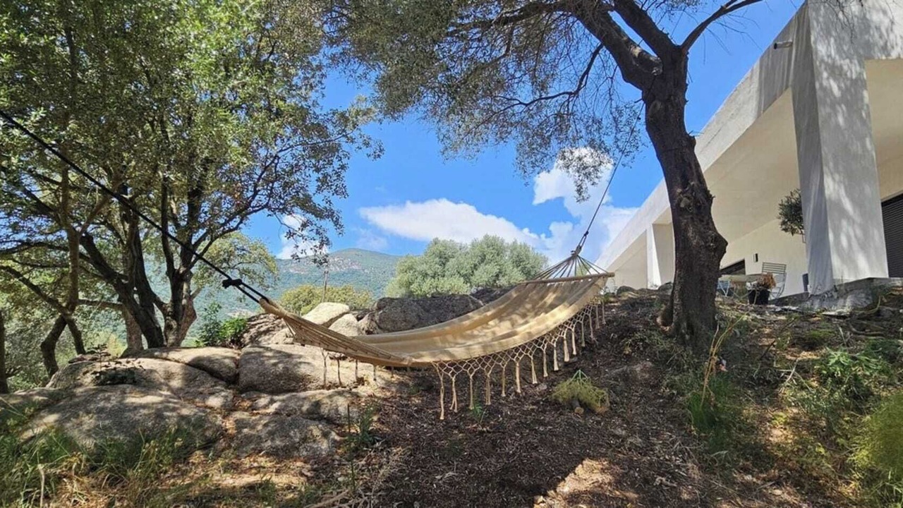 Photo of Outdoor in Olmiccia