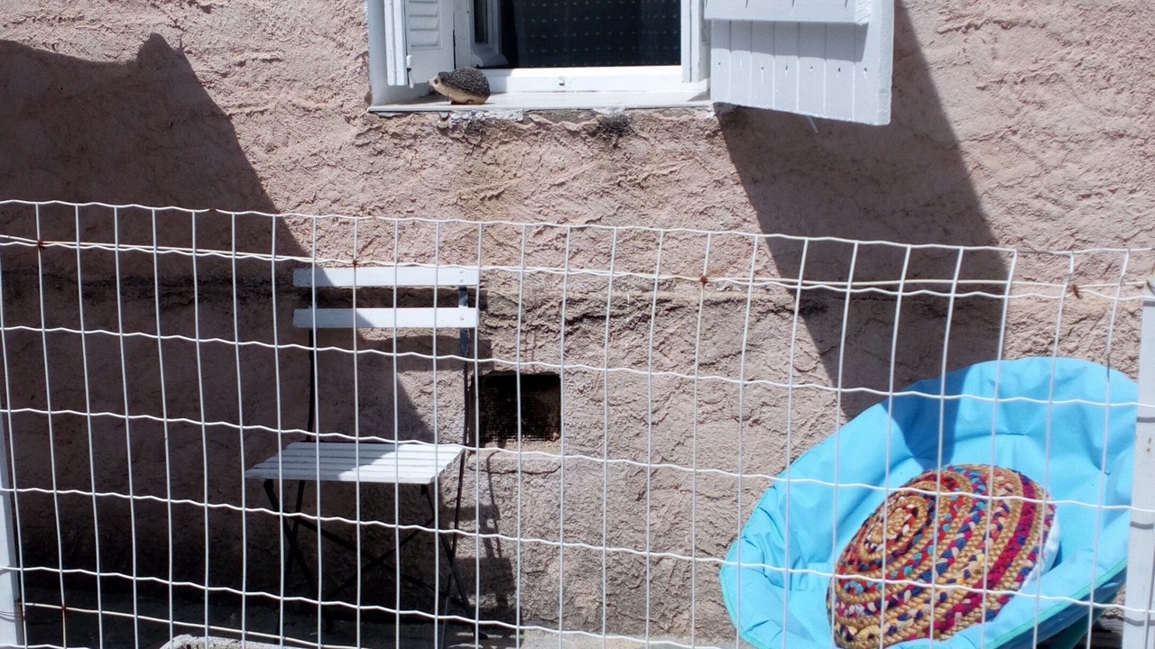 Photo of Patio Balcony in Cristinacce