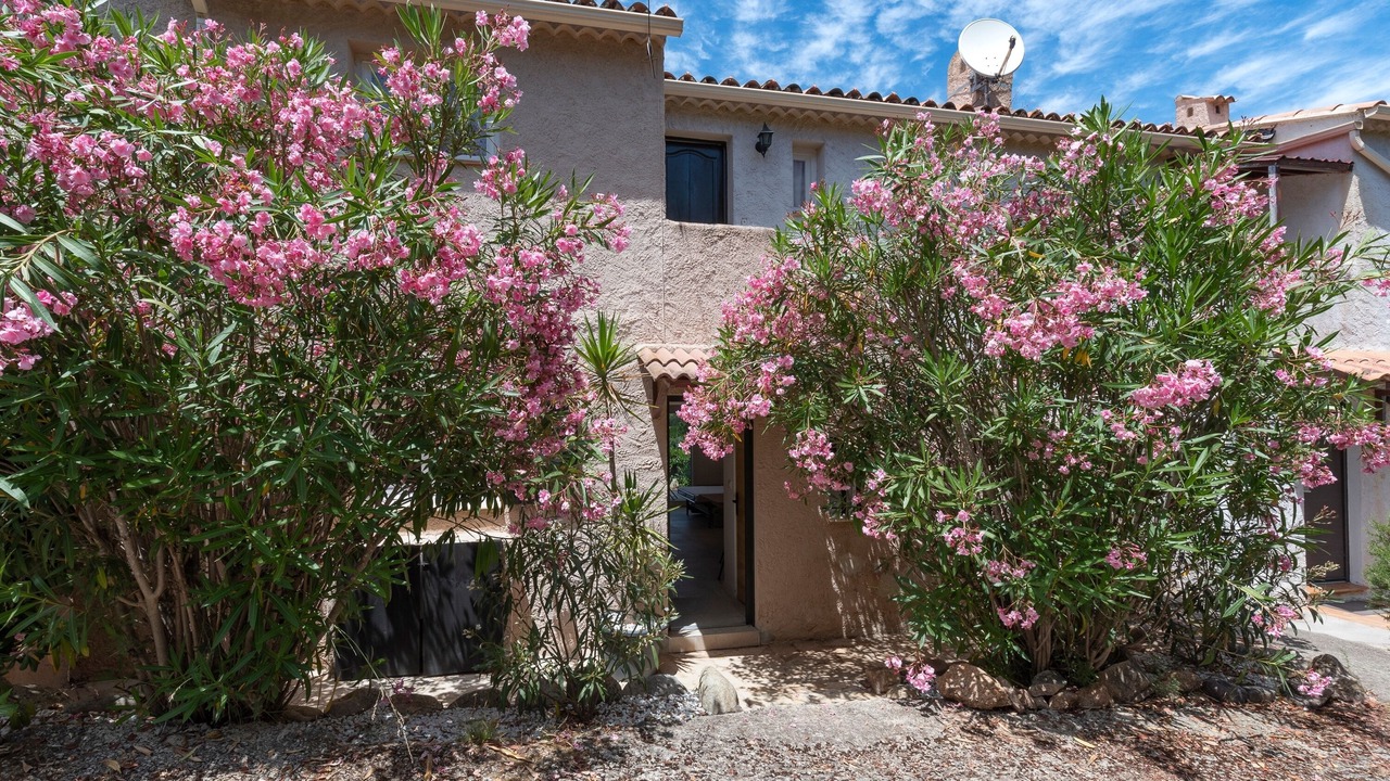 Photo of Outdoor in Porticcio