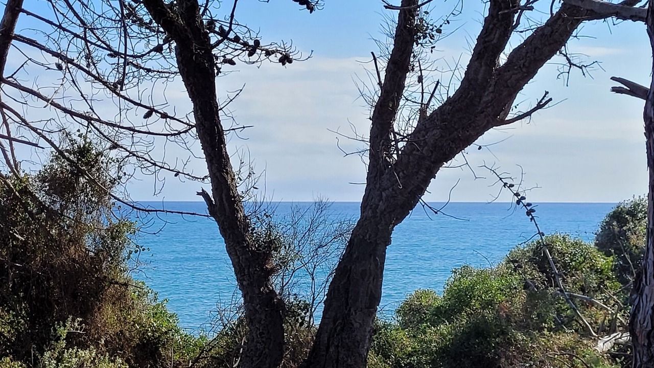 Photo of Outdoor in Bravone