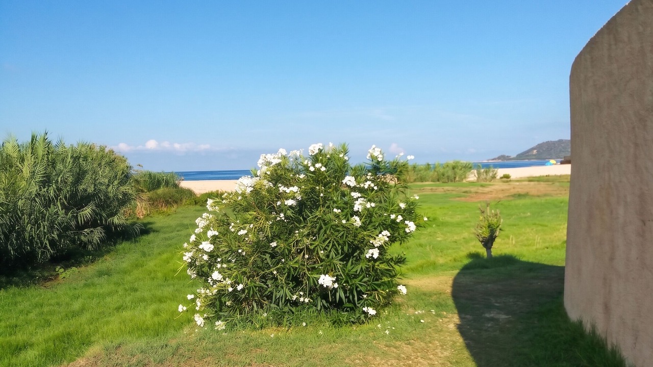 Photo of Outdoor in Calcatoggio