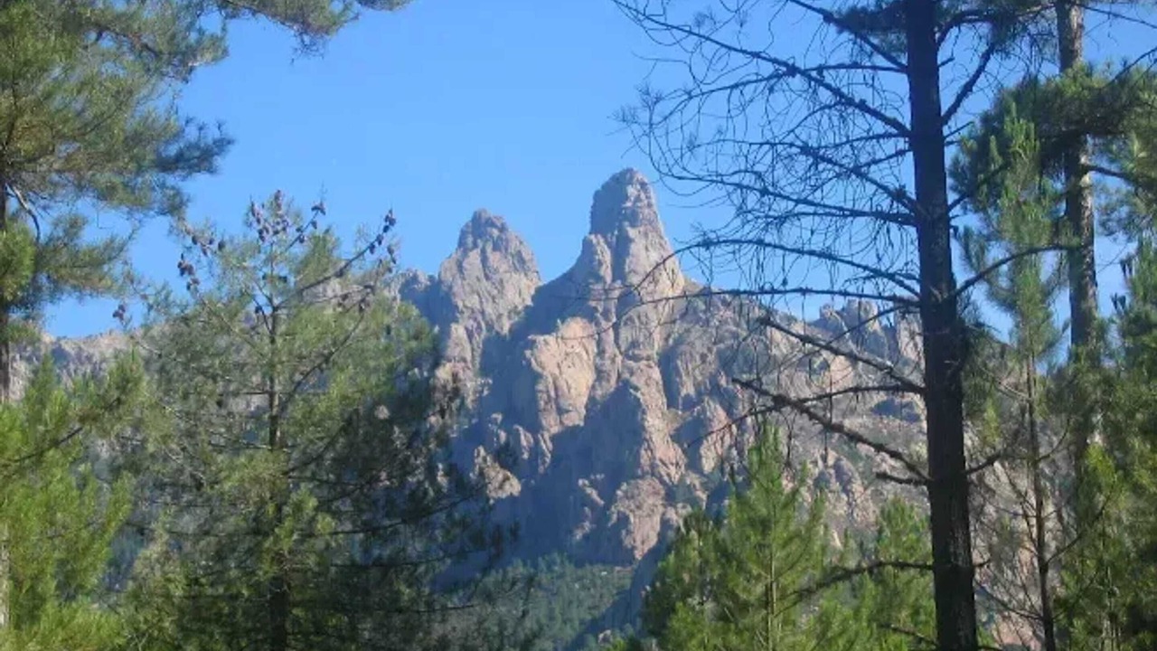 Photo of Others in Sari-Solenzara