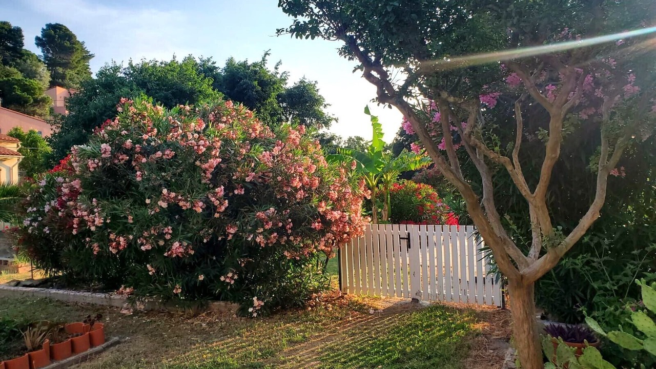 Photo of Outdoor in Collioure