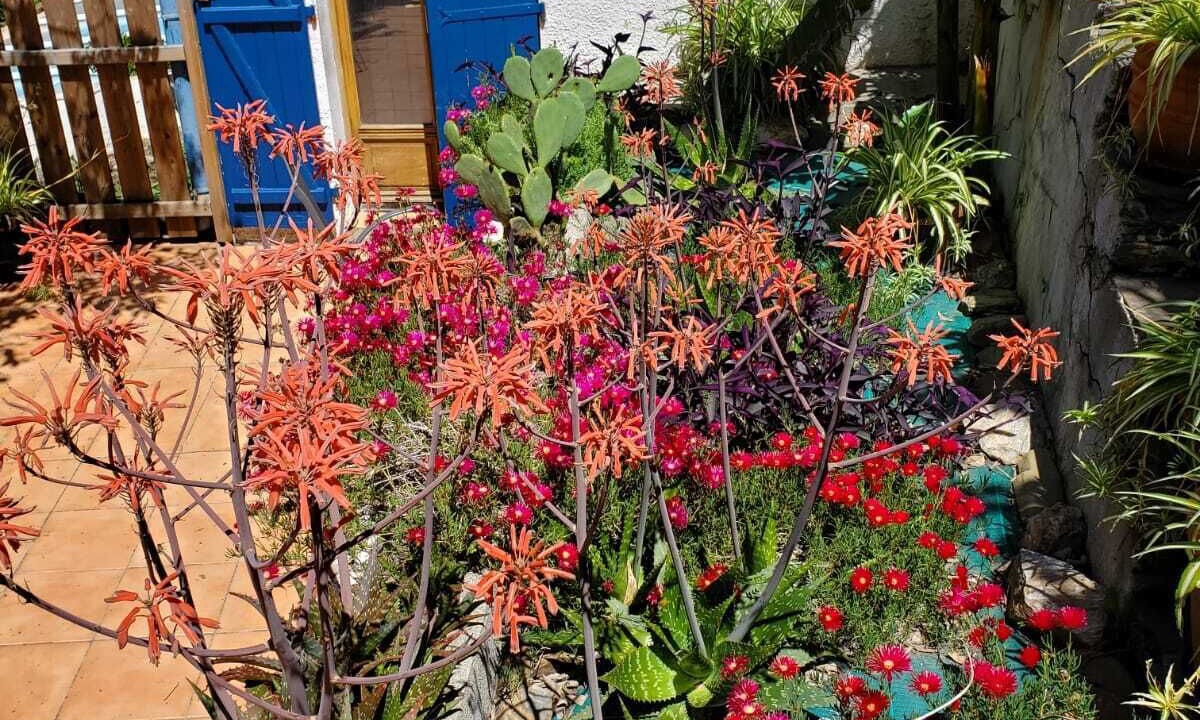 Photo of Outdoor in Collioure