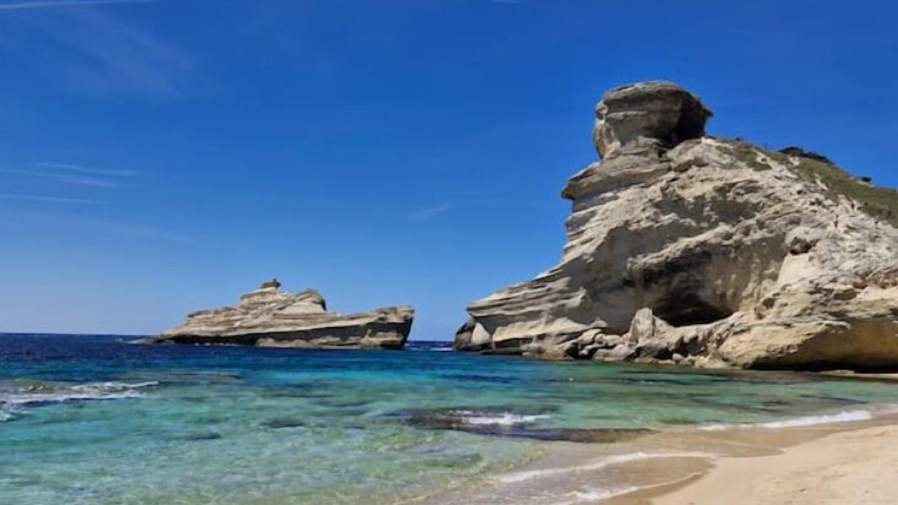 Photo of Others in Bonifacio