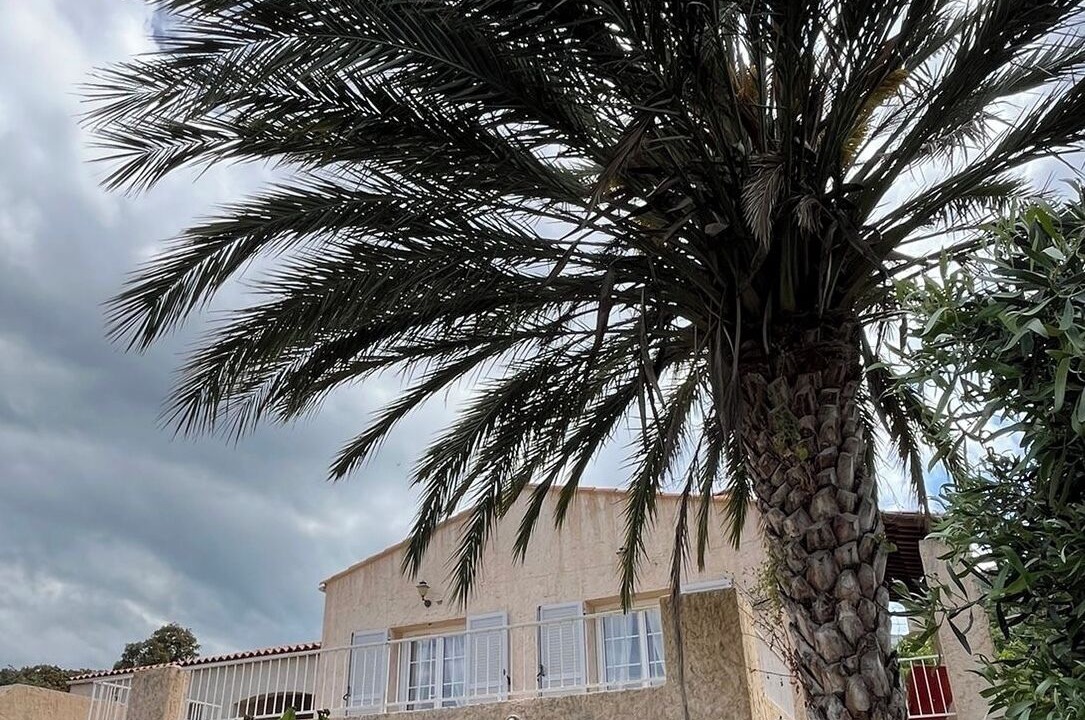 Photo of Outdoor in Santa-Reparata-di-Balagna