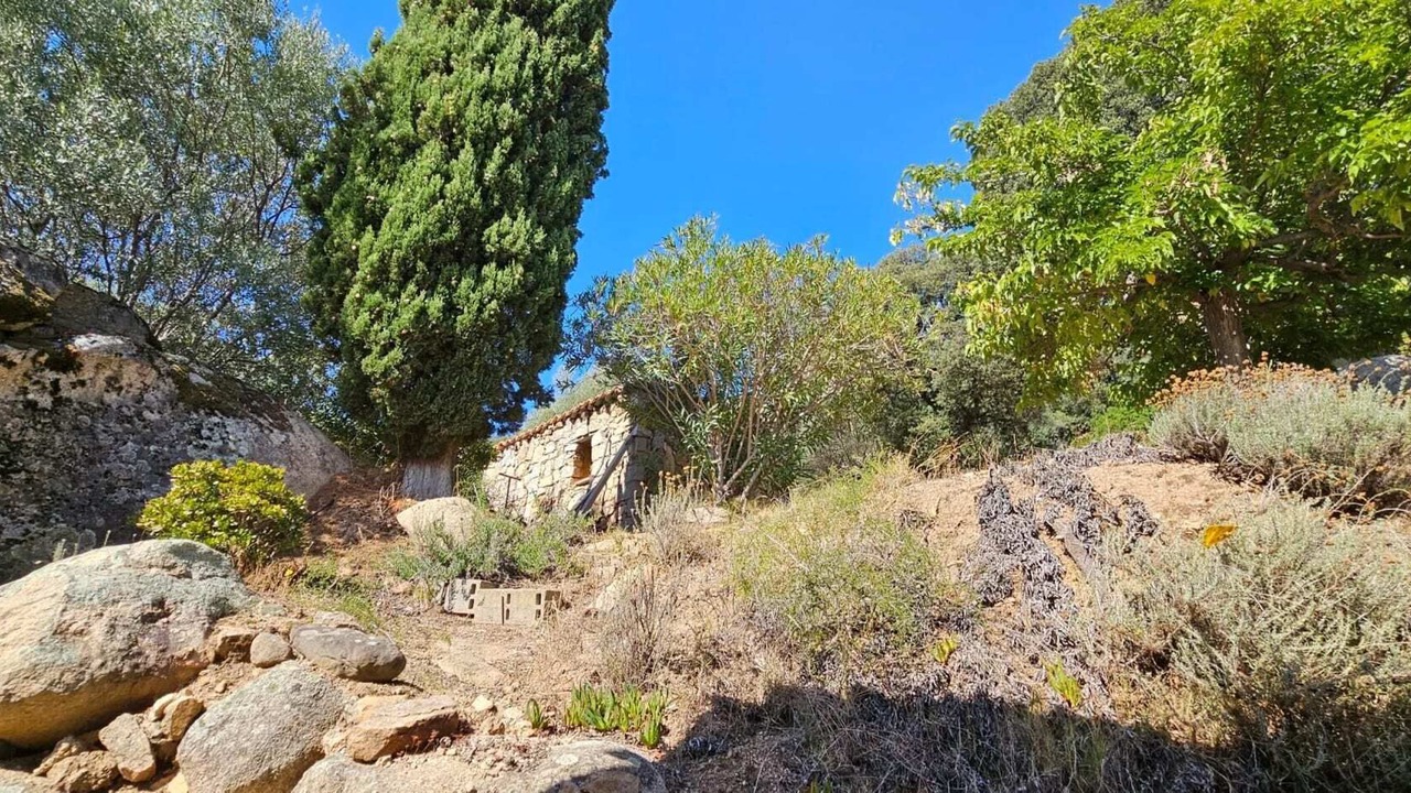 Photo of Outdoor in Vetricella