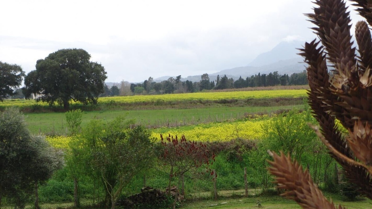 Photo of Outdoor in Sorbo-Ocagnano