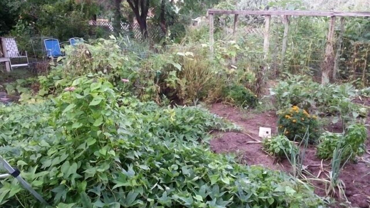 Photo of Outdoor in Cottonwood