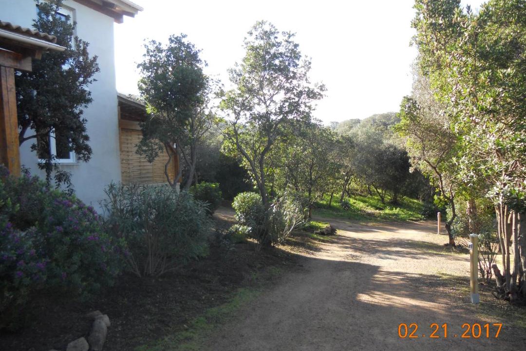 Photo of Buildings in Figari