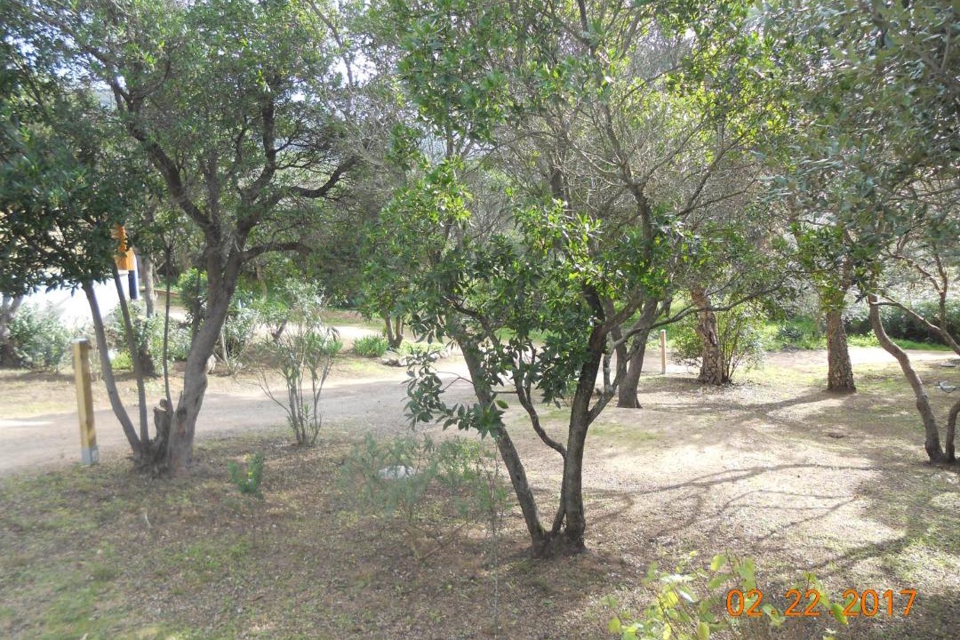 Photo of Others in Figari