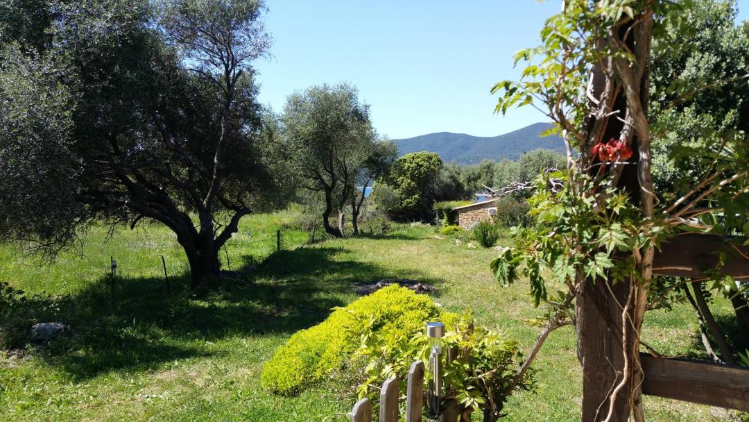 Photo of Others in Serra-di-Ferro