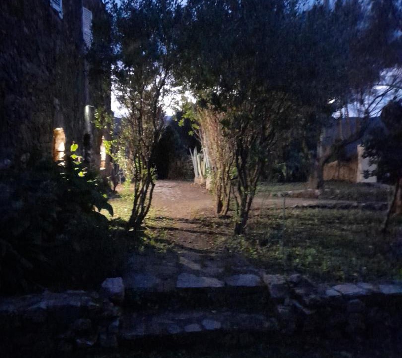 Photo of Buildings in Palasca