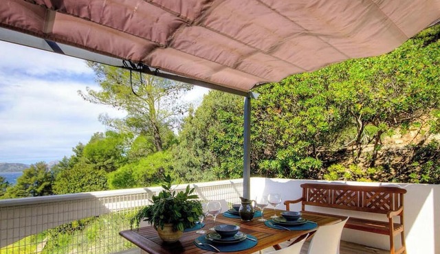 A blue garden - SAINT FLORENT